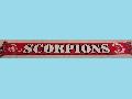 FC SOPRON Scarbantia Scorpions csoportsl